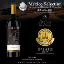Cargar imagen en el visor de la galería, Vino Tinto Galileo