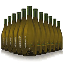 Cargar imagen en el visor de la galería, Caja con 12 Piezas de Vino Blanco Andrómeda 2019